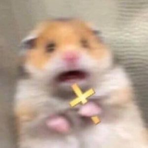 Meet your Posher, Ian